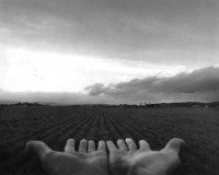 /album/materiale-laoratorio-p-cerlati-alla-ricerca-del-corpo-perduto/mani-minkkinnen-jpg/